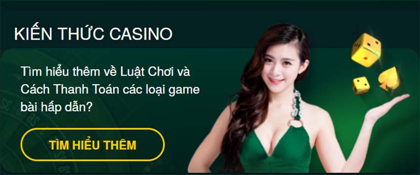 V9BET com